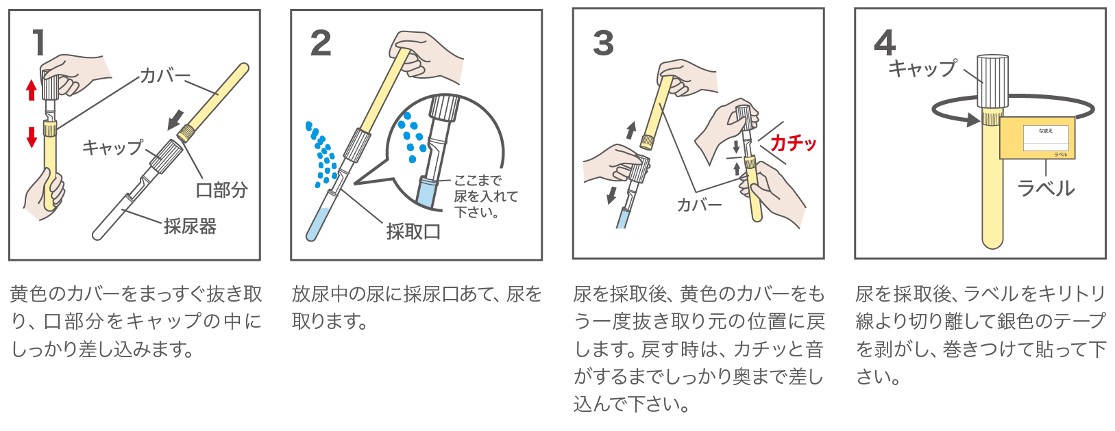 ピーポール 2 ラベル